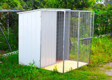 6x6ft Steel Aviary & Shed for sale 
